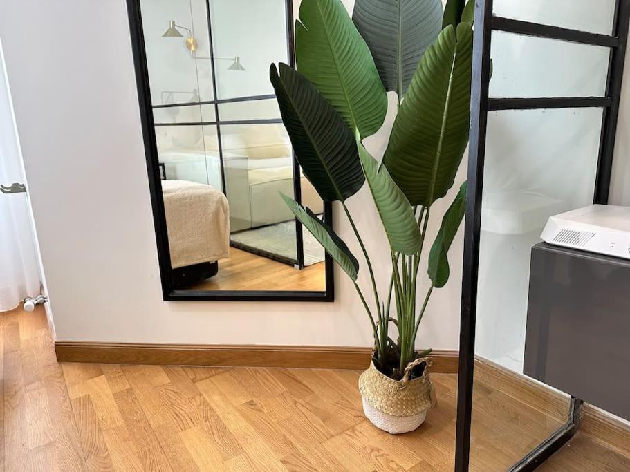 Ybh Suite Alameda Vigo Dış mekan fotoğraf